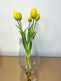 Cam vazoda Premium lale